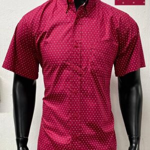 Camisa Bàsica Manga Corta