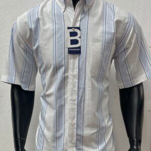 Camisa Bàsica Manga Corta