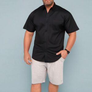 CAMISA BASICA (REGULAR)
