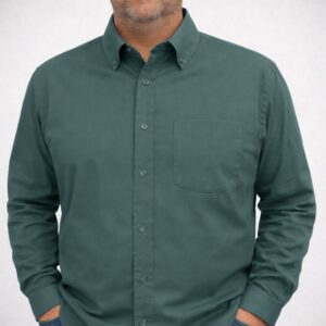 Camisa Regular Lisa Verdis